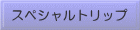 ���E�e�n�ւ̃X�y�V�����g���b�v
