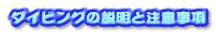 �_�C�r���O�̐����ƒ��ӎ���