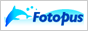 �X�L���[�o�_�C�r���O�E�����ʐ^�����T�C�g �}�����t�@��